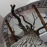 Cicha Woda Hotel Nieporęt