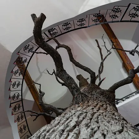 Cicha Woda Hotel Nieporęt