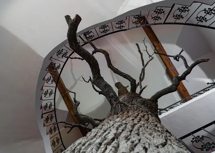 Cicha Woda Hotel Nieporęt